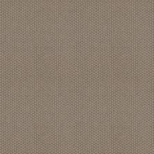Cathedral Hill II Lasting Luxury  TAUPE TONE LL_00574_ZZ040
