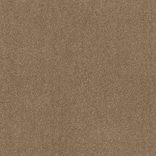 Ocean View Lasting Luxury  SADDLE LL_00228_ZZ043