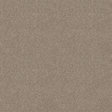 Ocean View Lasting Luxury  MUSHROOM LL_00725_ZZ043