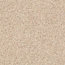 Carmel Coast Lasting Luxury  BIRCH BARK LL_00115_ZZ046