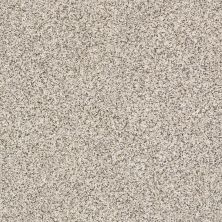 Carmel Coast Lasting Luxury  MICA LL_00513_ZZ046