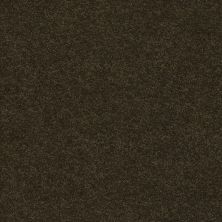 Second Glance Lasting Luxury  FIR LL_00339_ZZ058
