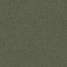 Second Glance Lasting Luxury  DYNASTY GREEN LL_00356_ZZ058