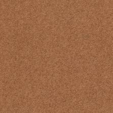 Second Glance Lasting Luxury  PUMPKIN SPICE LL_00668_ZZ058