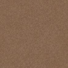 Second Glance Lasting Luxury  MYSTIC BROWN LL_00775_ZZ058