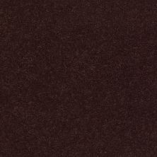 Second Glance Lasting Luxury  ROOT BEER LL_00778_ZZ058