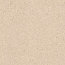 Classic Beauty Lasting Luxury  DELICATE TAN LL_00163_ZZ059