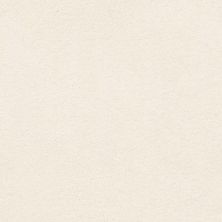 Classic Beauty Lasting Luxury  FRENCH WHITE LL_00221_ZZ059
