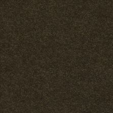 Classic Beauty Lasting Luxury  FIR LL_00339_ZZ059
