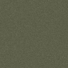 Classic Beauty Lasting Luxury  DYNASTY GREEN LL_00356_ZZ059