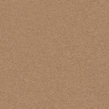 Classic Beauty Lasting Luxury  DESERT VIEW LL_00665_ZZ059