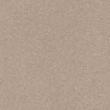 Classic Beauty Lasting Luxury  PASHMINA LL_00754_ZZ059