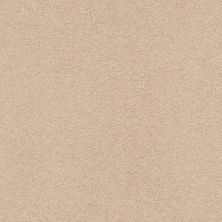 Classic Beauty Lasting Luxury  COCOA SAND LL_00773_ZZ059