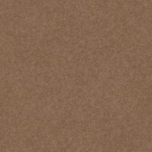 Classic Beauty Lasting Luxury  MYSTIC BROWN LL_00775_ZZ059