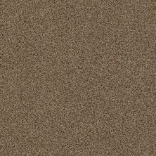 Serenity Cove Lasting Luxury  MYSTIC BROWN LL_00775_ZZ060
