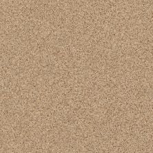 Fair Isle Lasting Luxury  TAWNY BISQUE LL_00225_ZZ061