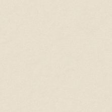 Perfect Choice Lasting Luxury  SOFT CHAMOIS LL_00121_ZZ064