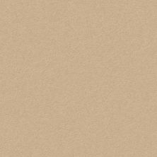Perfect Choice Lasting Luxury  SUGAR COOKIE LL_00173_ZZ064