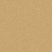 Perfect Choice Lasting Luxury  TAWNY BISQUE LL_00225_ZZ064