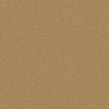 Perfect Choice Lasting Luxury  BARLEY LL_00227_ZZ064