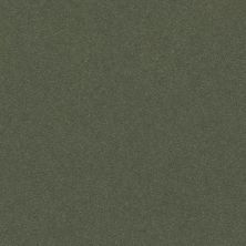 Perfect Choice Lasting Luxury  DYNASTY GREEN LL_00356_ZZ064