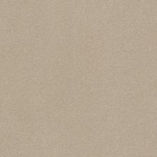 Perfect Choice Lasting Luxury  PASHMINA LL_00754_ZZ064
