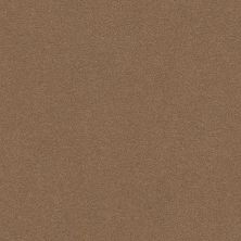 Perfect Choice Lasting Luxury  MYSTIC BROWN LL_00775_ZZ064