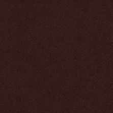 Perfect Choice Lasting Luxury  ROOT BEER LL_00778_ZZ064
