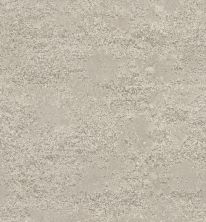 Tavares Lasting Luxury  WASHED GRAY LL_00512_ZZ068
