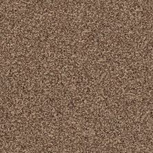 Ensemble Lasting Luxury  MYSTIC BROWN LL_00775_ZZ069