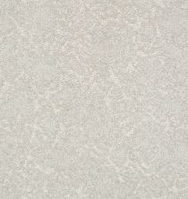 Stargazer Lasting Luxury  CLOUD COVER LL_00531_ZZ072