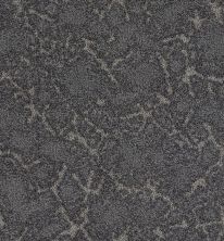 Stargazer Lasting Luxury  MIDNIGHT OIL LL_00558_ZZ072