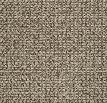 Fetch Lasting Luxury  DESERT PALM LL_00717_ZZ074