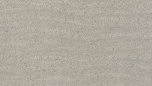 Pose Lasting Luxury  GENTLE GRAY LL_00541_ZZ079