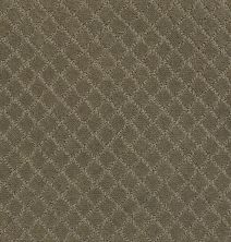 Pawnache Lasting Luxury  DRY SAGE LL_00536_ZZ080