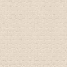 Pawstruck Lasting Luxury  CAPRI COAST LL_00181_ZZ081