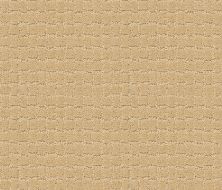 Pawstruck Lasting Luxury  CORK LL_00223_ZZ081