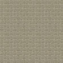 Pawstruck Lasting Luxury  GRAY MIRAGE LL_00533_ZZ081