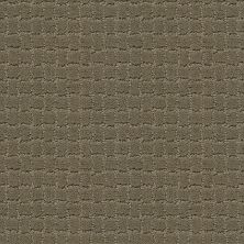 Pawstruck Lasting Luxury  DRY SAGE LL_00536_ZZ081