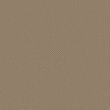 Mera Lasting Luxury  LATTE LL_00724_ZZ086