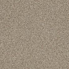 The Bark Side I Lasting Luxury  SANDSTONE LL_00272_ZZ087