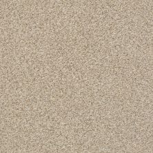 The Bark Side II Lasting Luxury  PECAN LL_00213_ZZ088