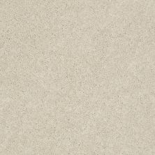 Pawparazzi II Lasting Luxury  TOFFEE CREAM LL_00183_ZZ093