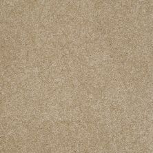 Pawparazzi II Lasting Luxury  PEANUT SHELL LL_00186_ZZ093