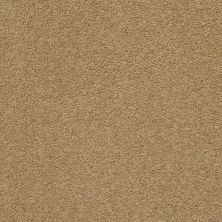 Pawparazzi II Lasting Luxury  GOLDEN STRAW LL_00224_ZZ093