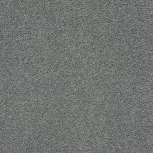 Pawparazzi II Lasting Luxury  STEEL WOOL LL_00545_ZZ093