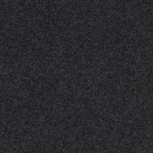 Pawparazzi II Lasting Luxury  NIGHT SHADE LL_00558_ZZ093