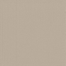San Lucas Lasting Luxury  NATURAL LL_00113_ZZ095