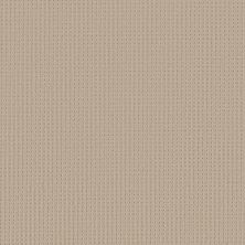 San Lucas Lasting Luxury  BISCUIT LL_00114_ZZ095