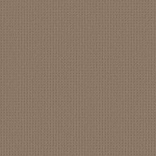 San Lucas Lasting Luxury  LATTE LL_00724_ZZ095